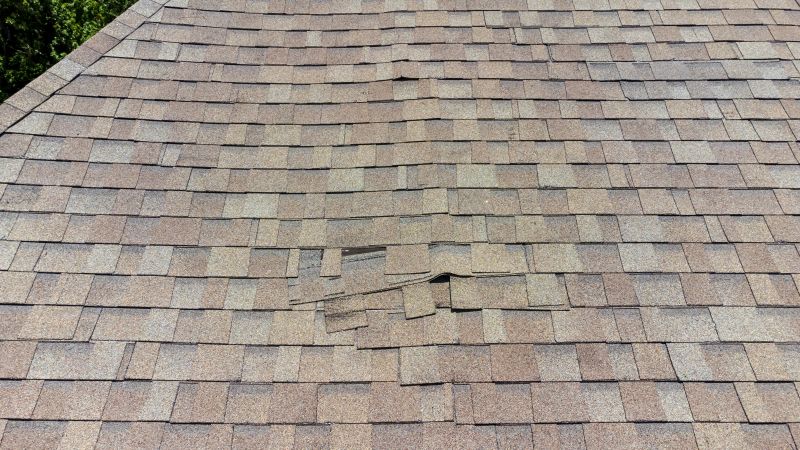 Asphalt Roof Inspection in Elizabeth, CO