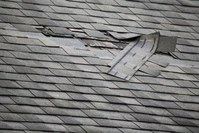 Asphalt Roof Leak Repair in Teller County, CO