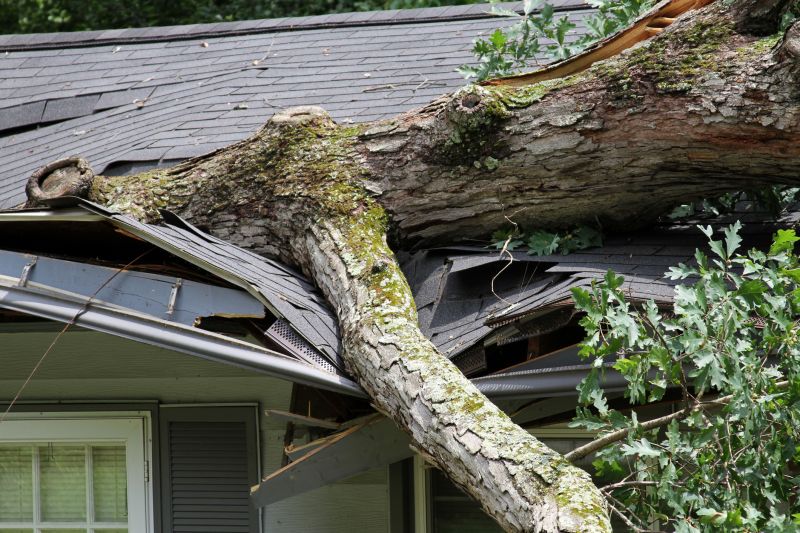 Collapsing Roof Repair in Monument, CO