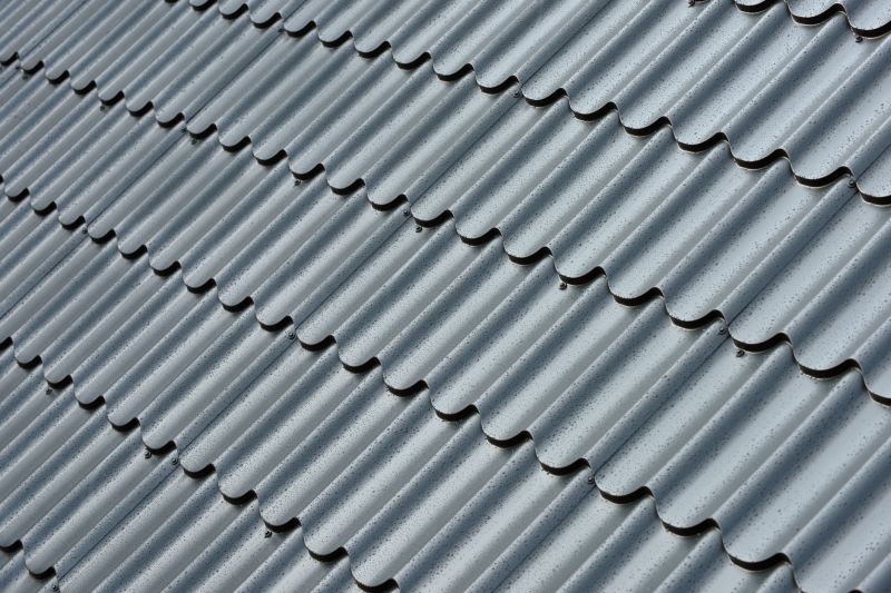 Corrugated Roof Repair in Larkspur, CO