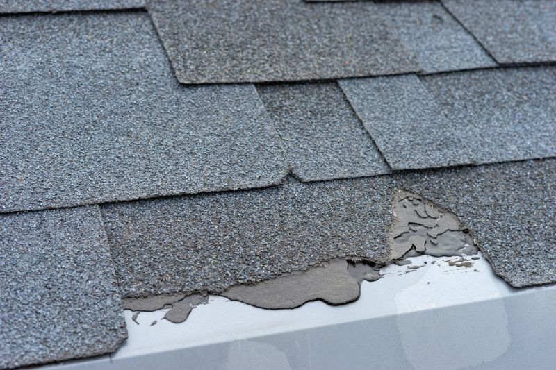 Damaged Roof Repair in El Paso County, CO