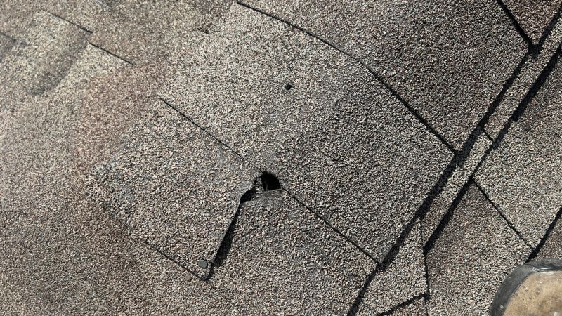 Damaged Roof Repair in Elbert County, CO