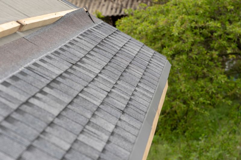 Damaged Roof Repair in Elbert County, CO
