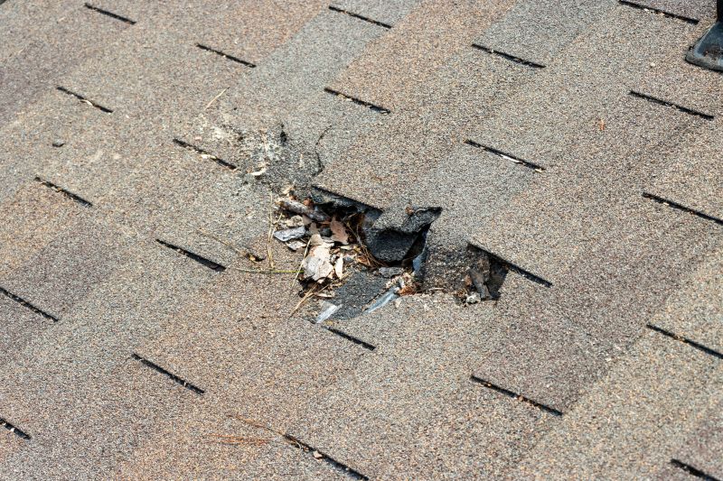 Damaged Roof Replacement in El Paso County, CO