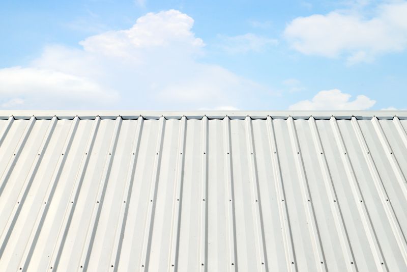 Metal Roof Coating Service in Monument, CO