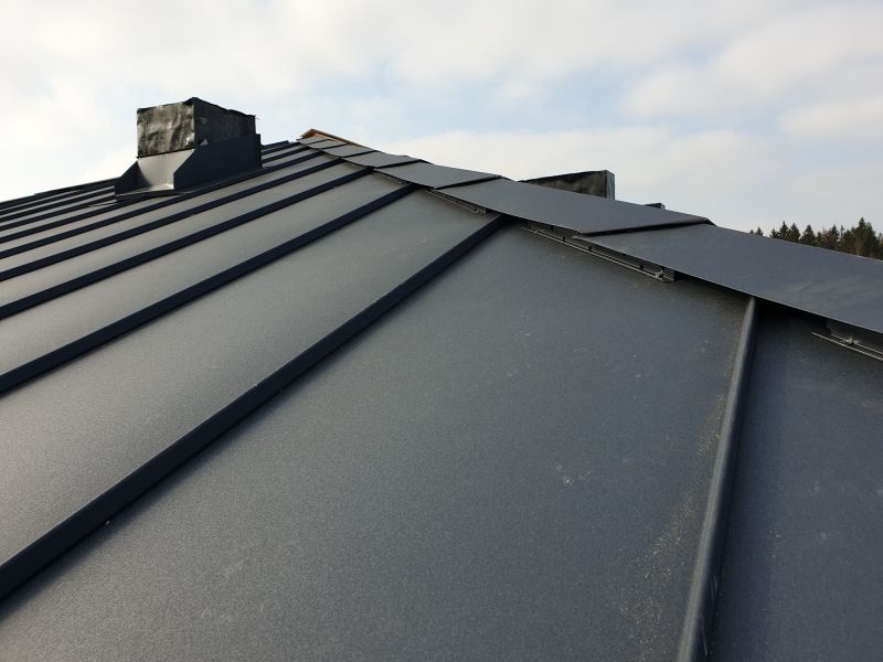 Metal Roof Sealing in Monument, CO
