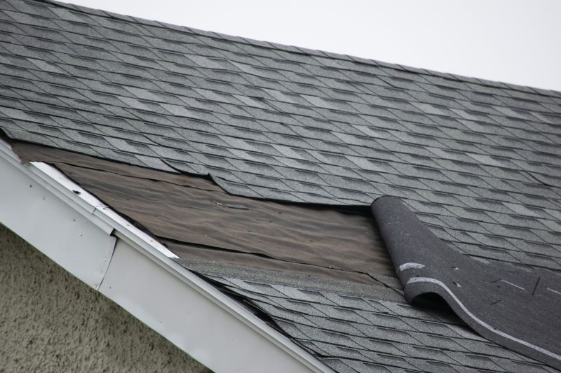 Ridge Cap Repair in Monument, CO