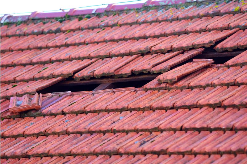 Roof Damage Inspection in Sedalia, CO