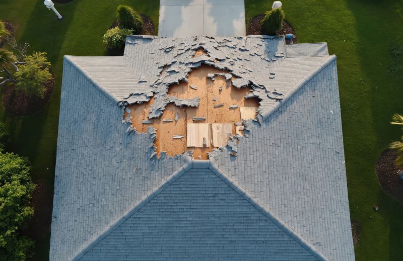 Roof Damage Repair in Woodland Park, CO