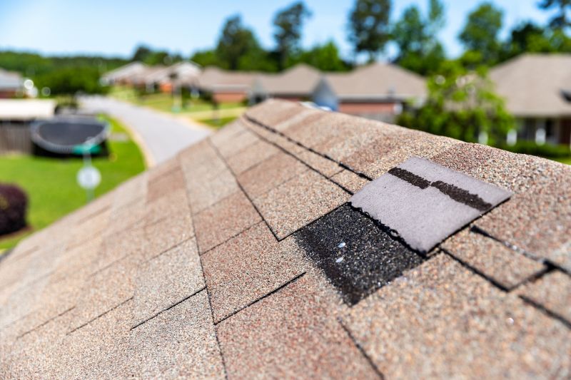Roof Hail Damage Repair in Monument, CO