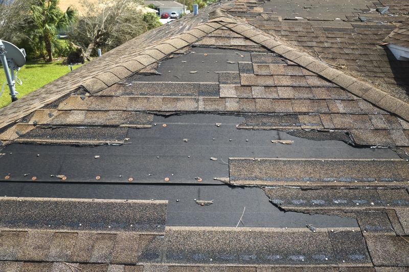 Roof Hail Damage Repair in Monument, CO