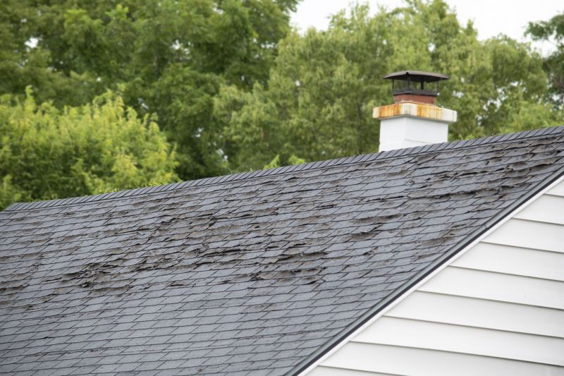 Roof Hail Damage Repair in Monument, CO