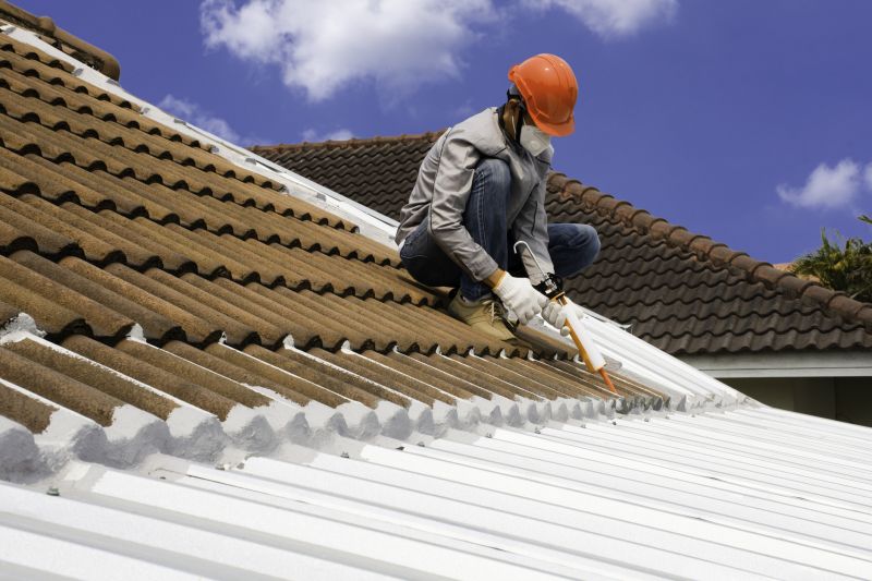 Roof Sealing in Palmer Lake, CO