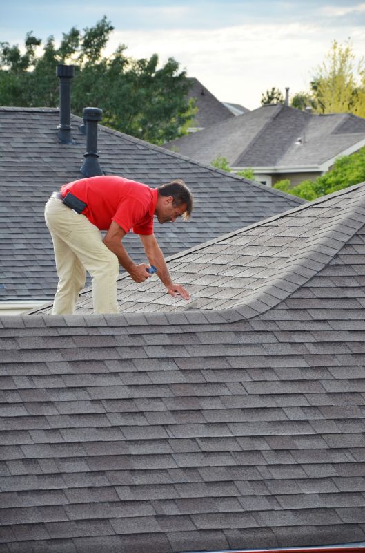 Roofing Inspection Service in Larkspur, CO
