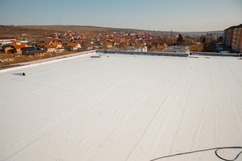 Rubber Roof Repair in Palmer Lake, CO