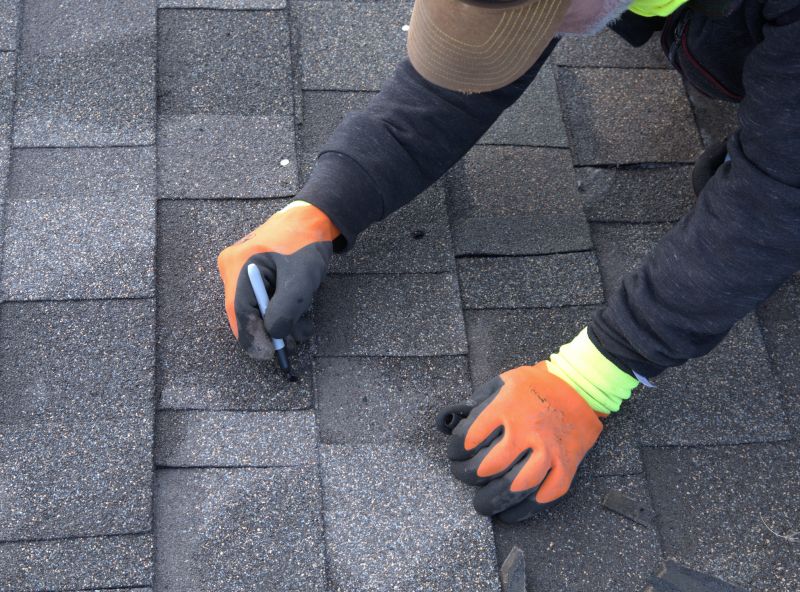 Shingles Repair in Palmer Lake, CO