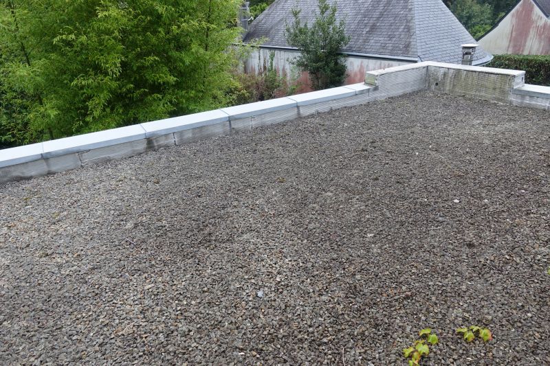 Tar And Gravel Roof Repair in Castle Rock, CO