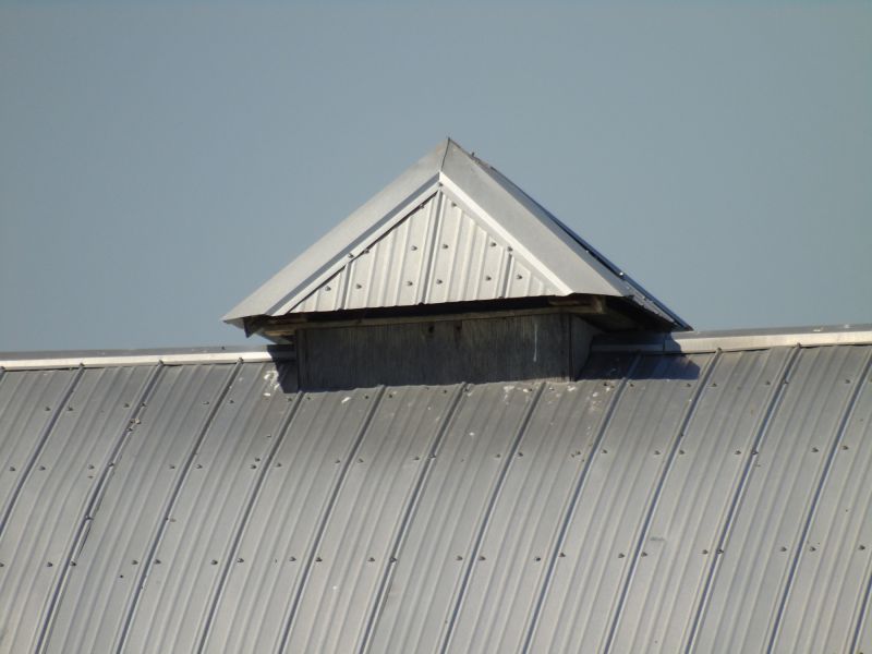 Tin Roof Installation in Woodland Park, CO