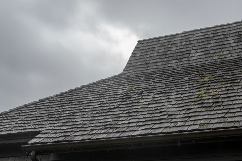 Wood Shake Roof Replacement in Palmer Lake, CO
